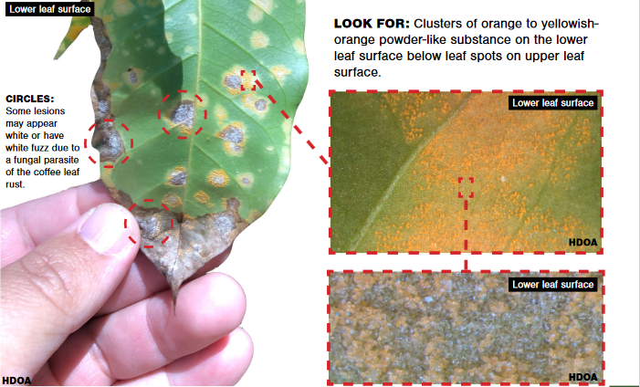 Priaxor Xemium fungicide product packaging