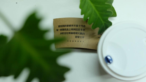 Hot oat milk latte presentation