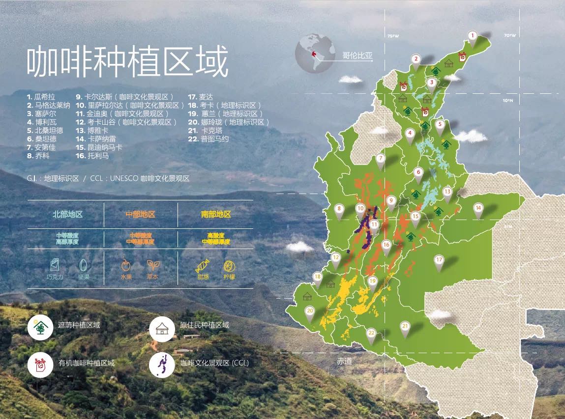 Northern Colombian coffee region landscape