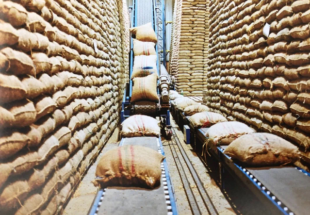 Eastern Colombian coffee region landscape