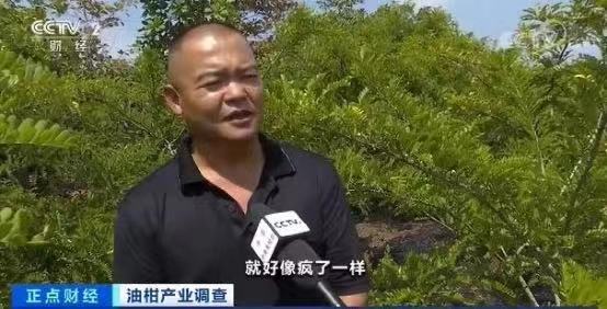 E-commerce platform Yugo fruit prices