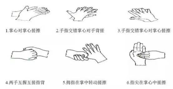 Proper hand hygiene demonstration
