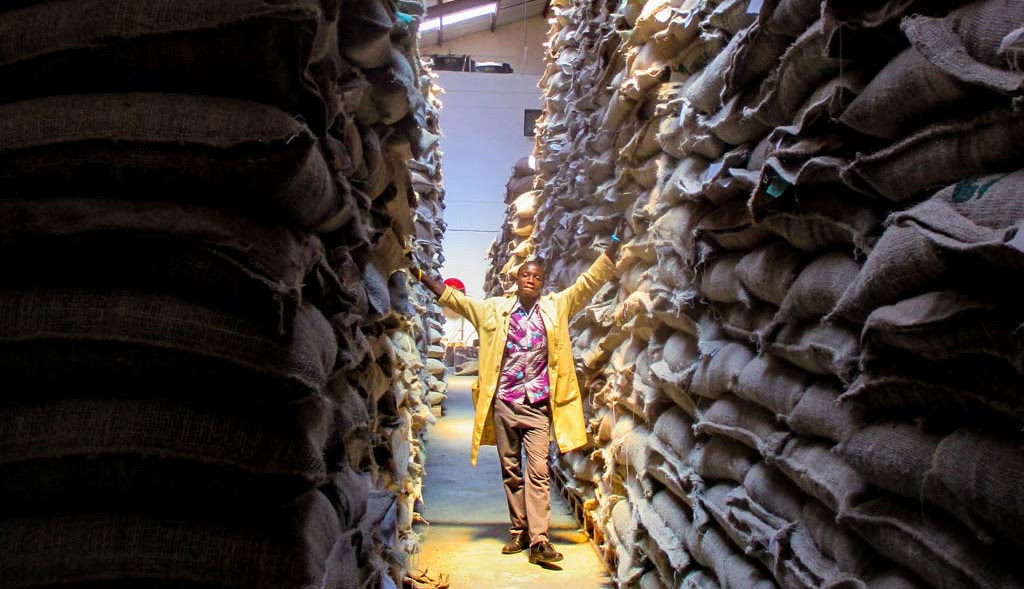 Coffee Board of Kenya building