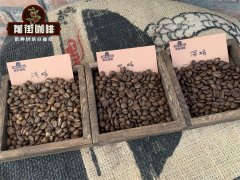 Coffee Bean Freshness Are Oily Coffee Beans No Longer Fresh? The Culprits That Age Coffee Beans