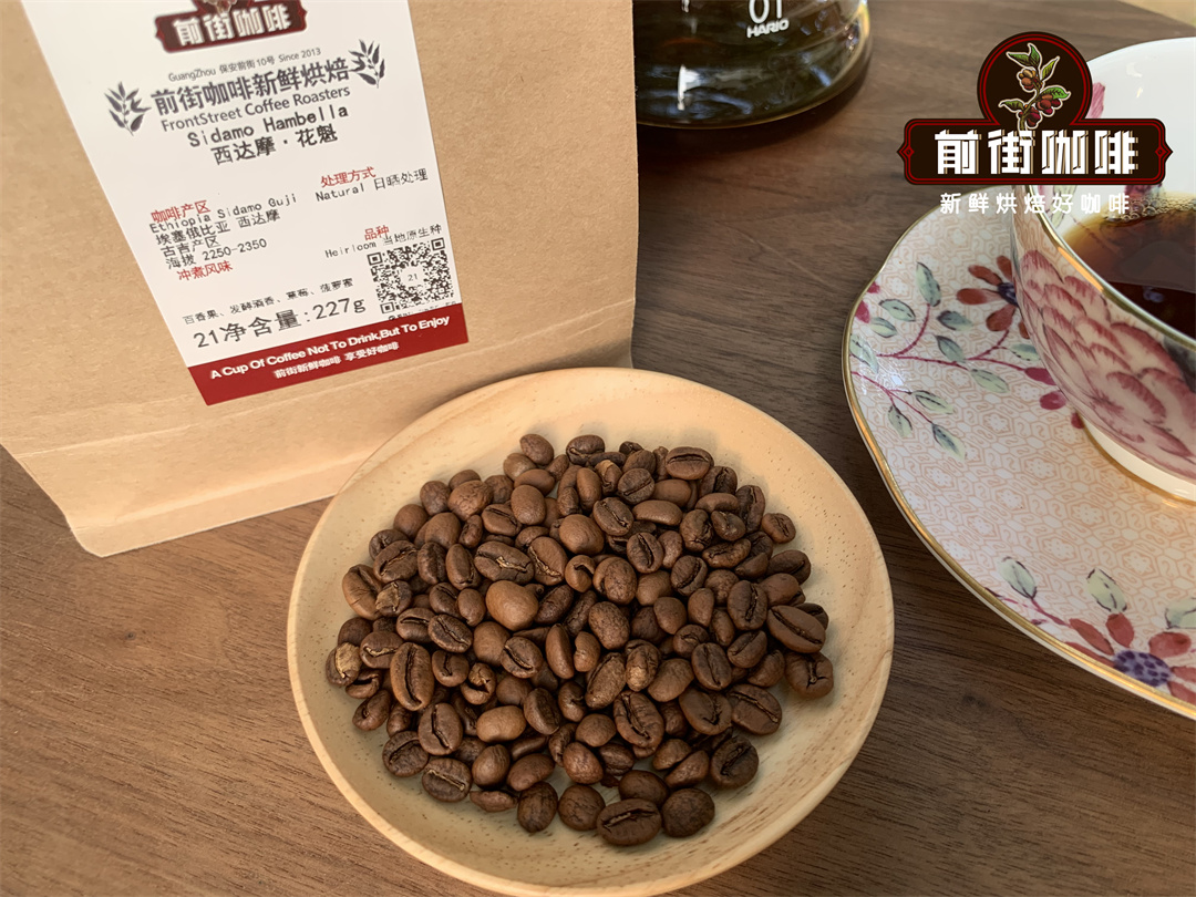 Fresh coffee beans expanding during brewing process