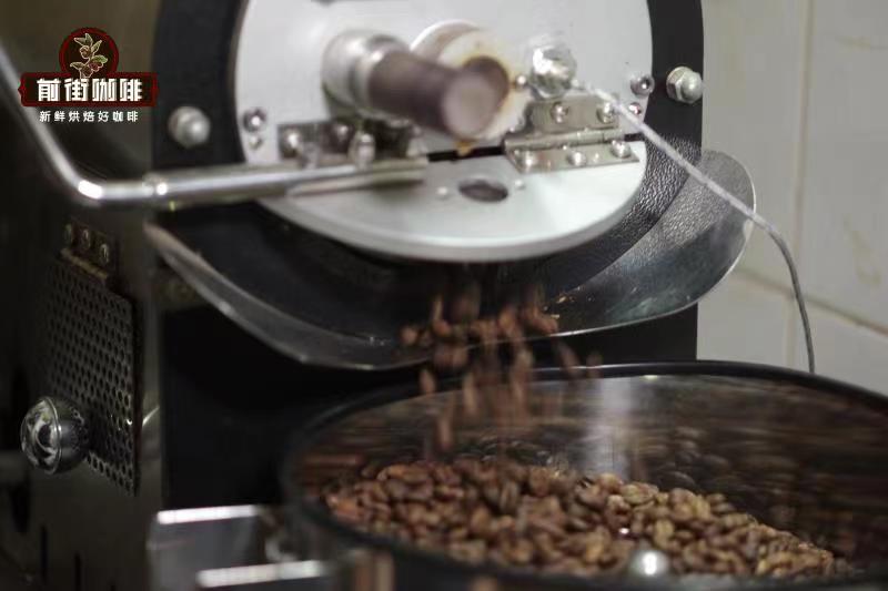 Jamaican Blue Mountain coffee plantation