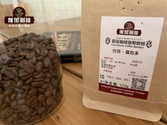 Coffee Varieties Complete Guide: Is Bourbon Coffee a Typica Variety?