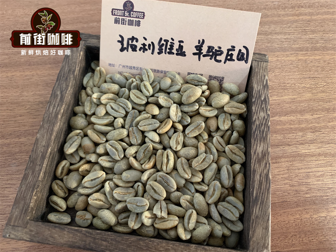 Alpaca Estate coffee plantation