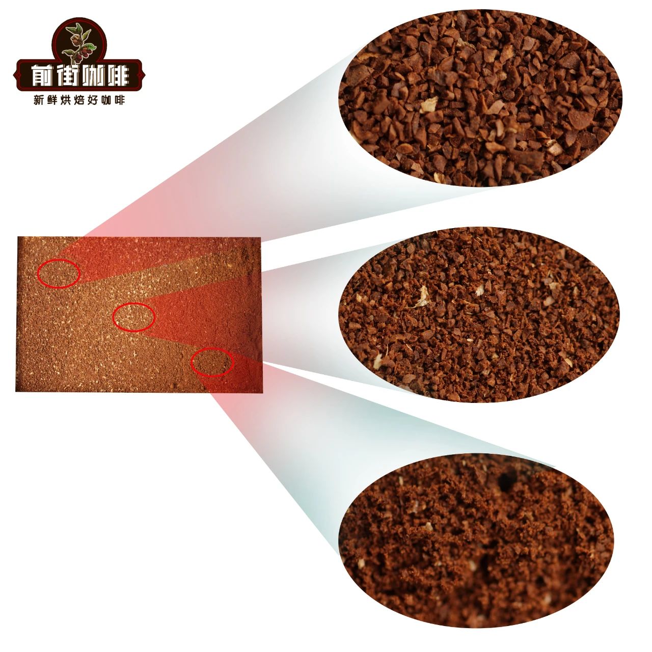 Coffee Particle Size Comparison