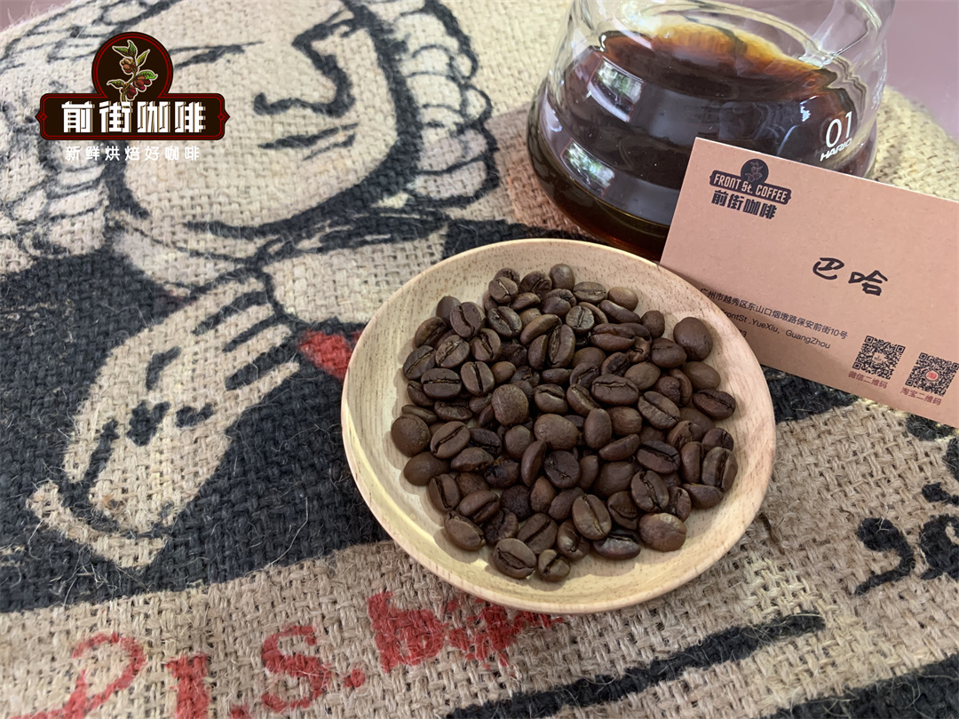 Canet Estate coffee plantation