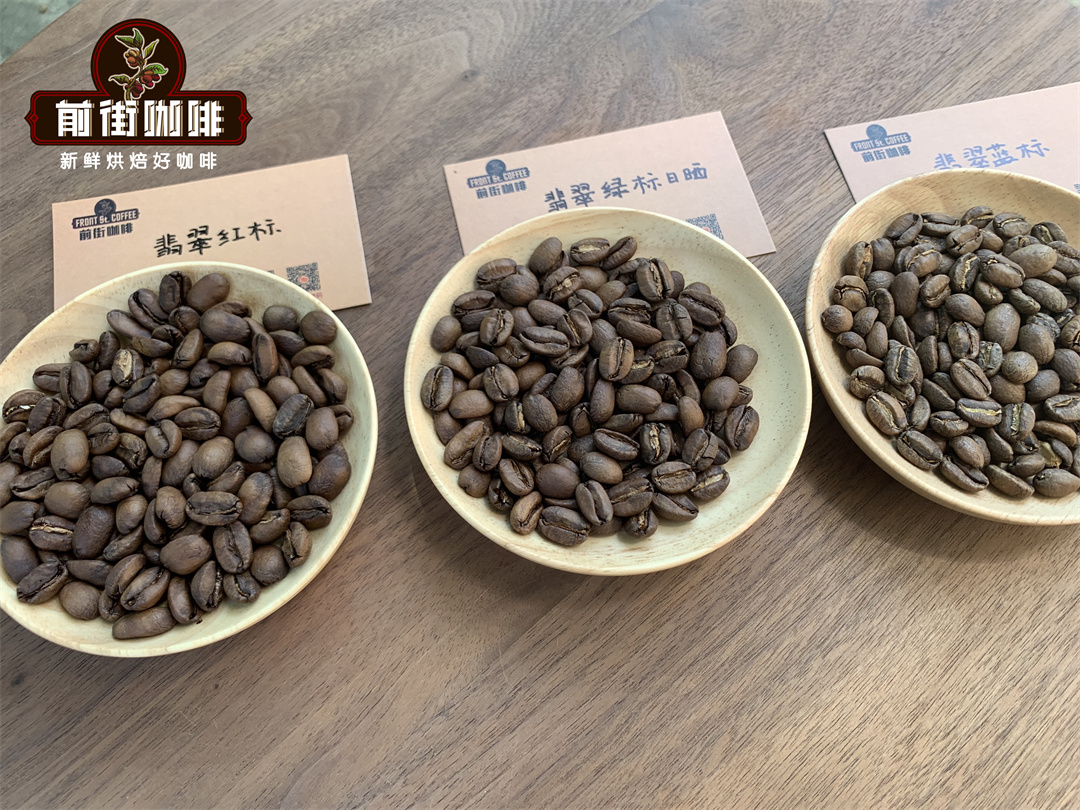 Panama coffee beans and brewing