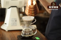 What Are the Key Elements to Brewing Great Coffee? Introduction to Pour-Over Coffee Extraction Principles