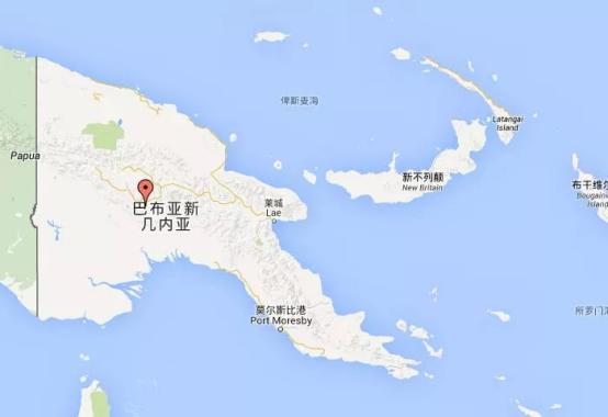 Papua New Guinea Coffee Plantation