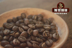 Flavor Differences Between Arabica Coffee Peaberries and Flat Beans: The Formation of Peaberry Coffee Beans
