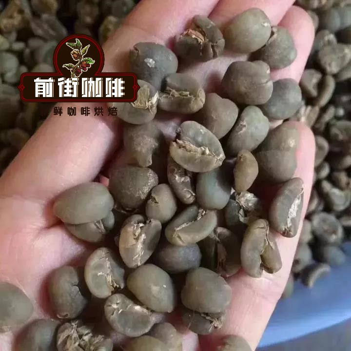 Lintong Mandheling coffee beans showing goat hoof shape