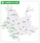 Yunnan Coffee Bean Varieties: Flavor Characteristics and Growing Regions - The Rise of Yunnan Small Beans