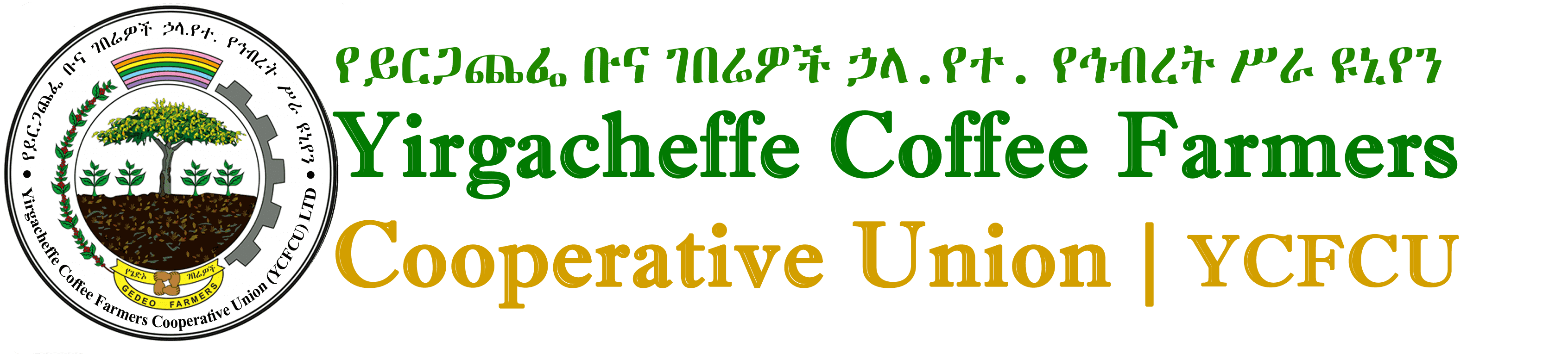 YCFCU Cooperative Statistics