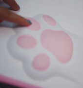 Starbucks New Merchandise Starbucks Classic New Cat Paw Laptop Bag How to Make an Appointment to Claim