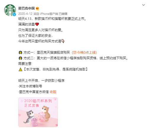 Purple Cherry Cat Paw Cup