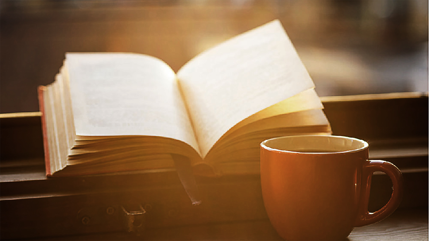 Coffee beans illustration