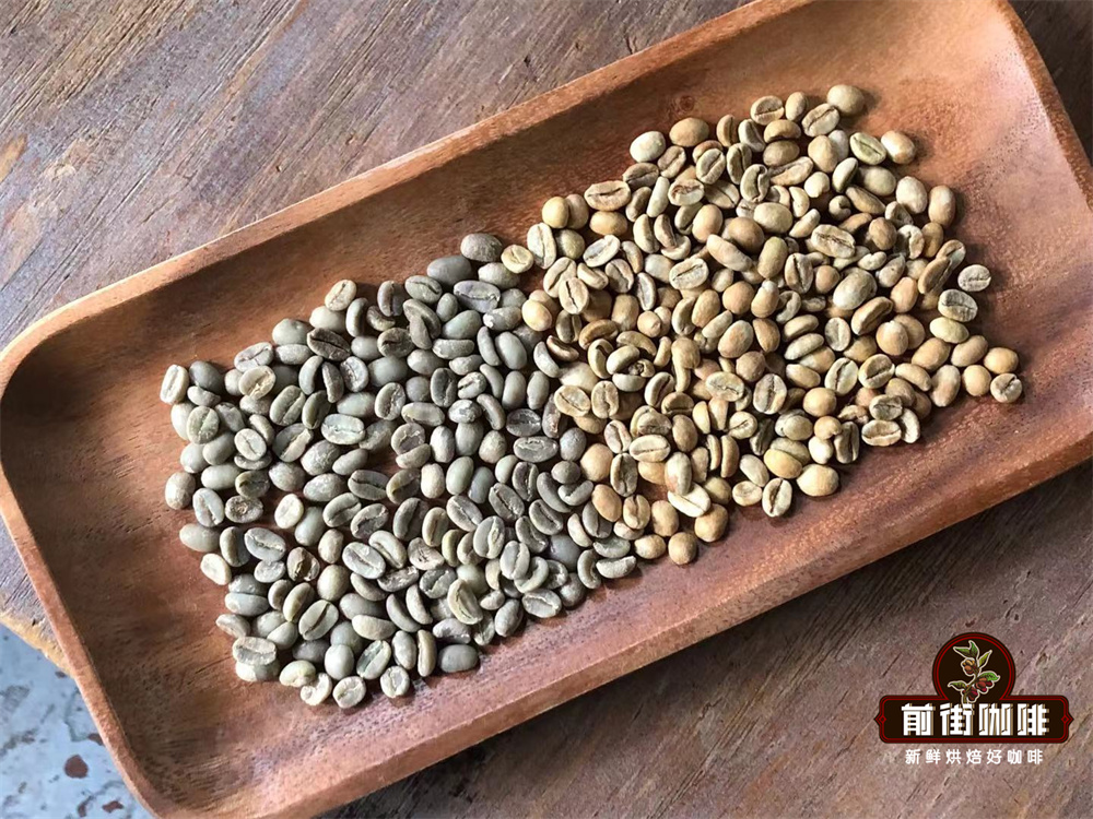 Flavor Differences Between Natural and Washed Coffee Processing Methods - Roasting Recommendations