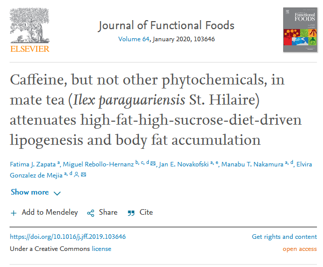 Research on caffeine and weight loss from Journal of Functional Foods