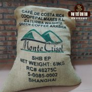 Do Packaging Materials Significantly Impact Green Coffee Beans? What Packaging Materials Do Green Coffee Beans Prefer?