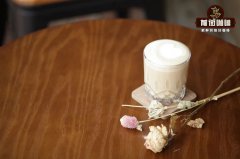 Home Cappuccino Recipe Tutorial - How to Make Cappuccino? Milk Frother & French Press Methods