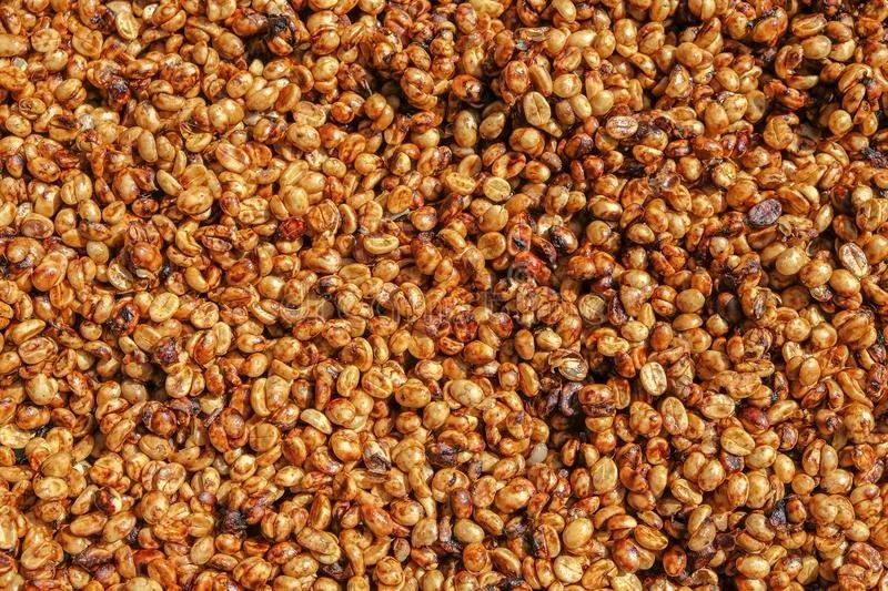 Red Honey Process Coffee Beans Drying