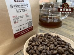 Differences Between Guigui Coffee Bean 8.0 and 5.0: Introduction to Ethiopia's New Harvest Hambella Guigui Coffee Beans