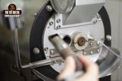 What Roast Level is Best for Red Cherry Coffee? What Unique Flavors Do Different Roast Levels Have?