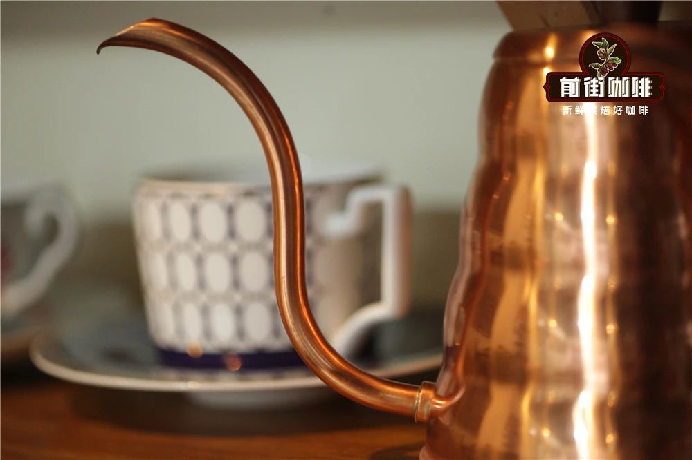 Gooseneck pour-over kettle
