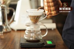 Coffee Fundamentals: 3 Steps to Brew the Best Coffee at Home