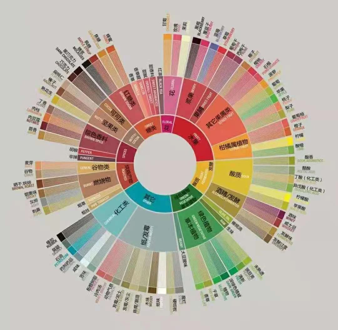 Coffee flavor categories and examples
