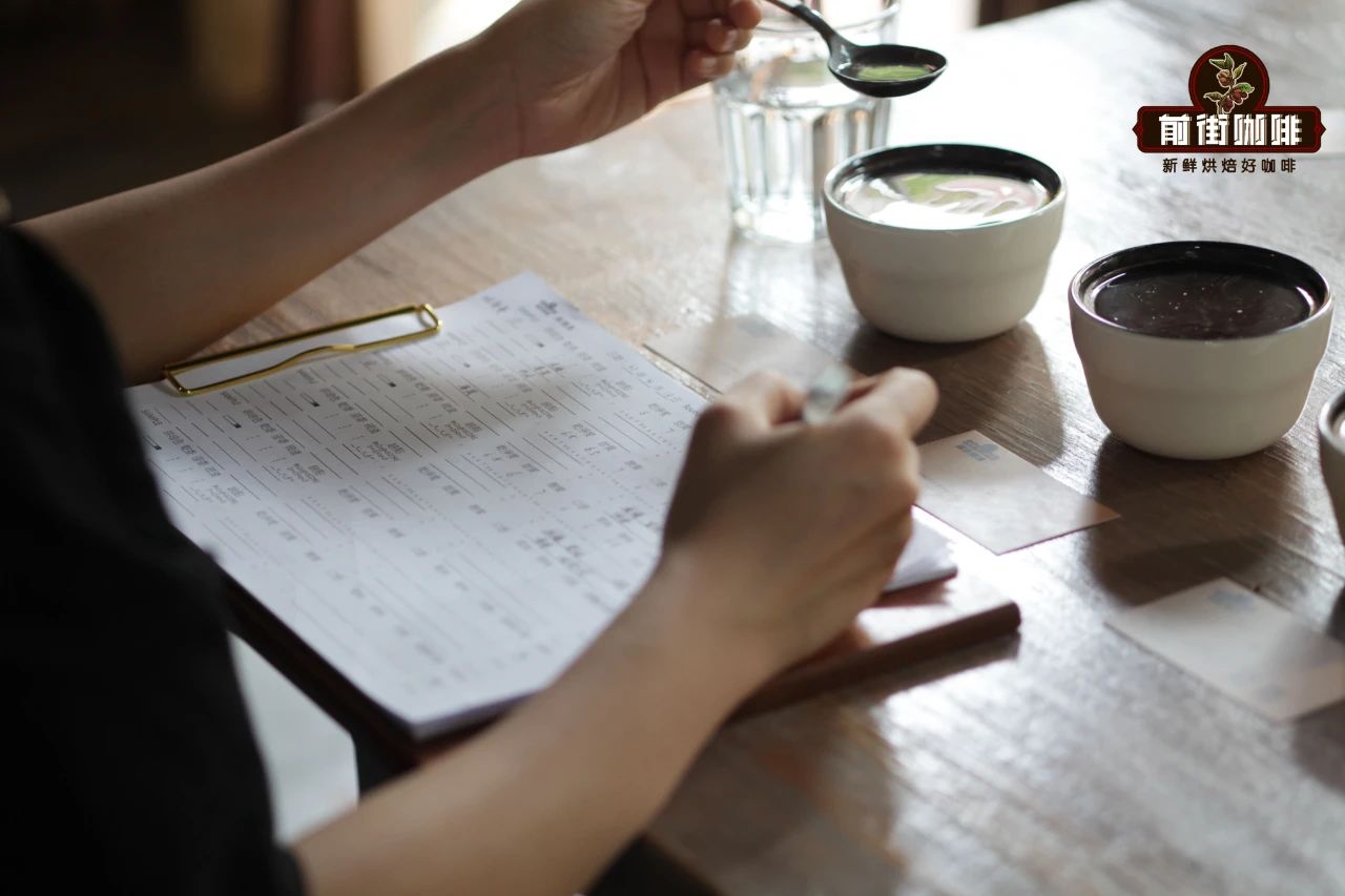 Coffee cupping session with professionals