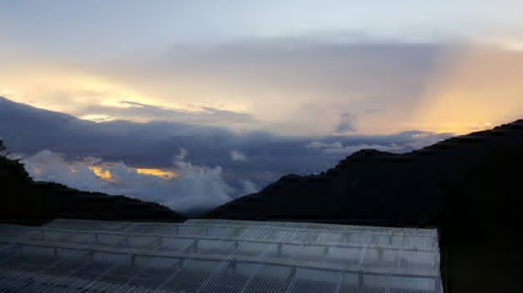 Finca Nuguo Estate Landscape