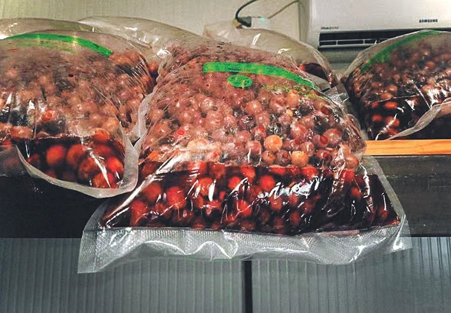 Anaerobic Fermentation Process