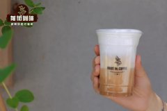 Iced Cappuccino Recipe and Origins: Best Coffee Beans for Espresso Milk Coffee