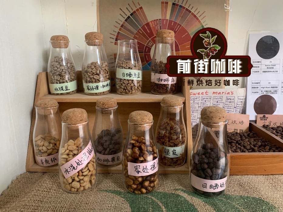 Red Bourbon coffee beans from Cerrado region