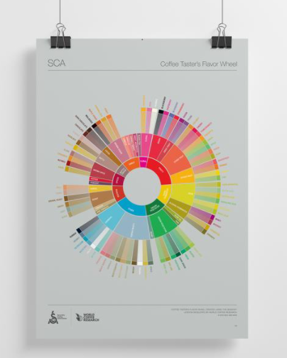 Coffee flavor wheel showing various flavor notes
