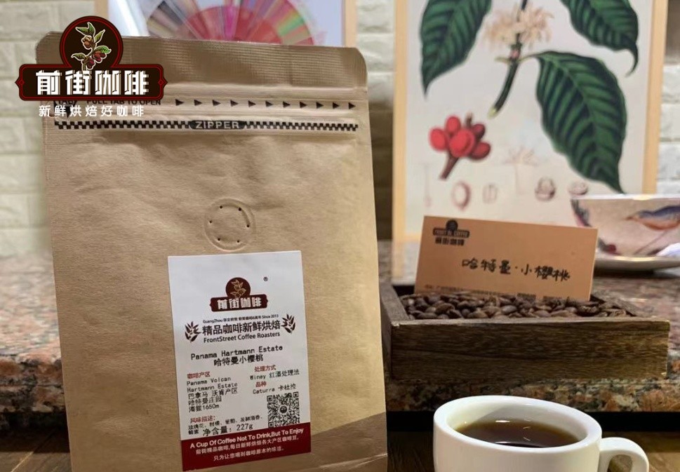 Hartmann Estate Coffee Processing