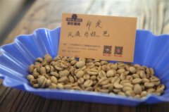 How to Brew Indian Monsoon Malabar Coffee? Historical Stories and Flavor Differences of Coffee Beans from Various Indian Regions