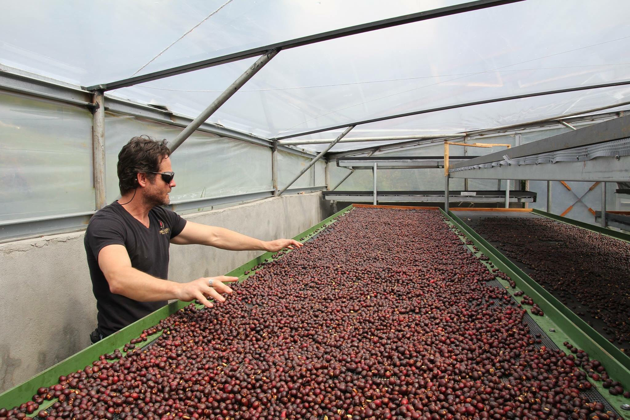 Anaerobic natural processing demonstration