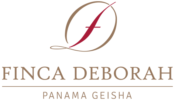 Finca Deborah construction planning