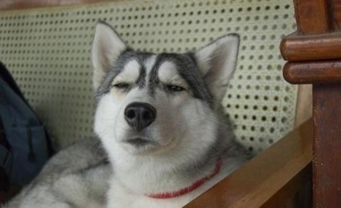 Morning coffee routine