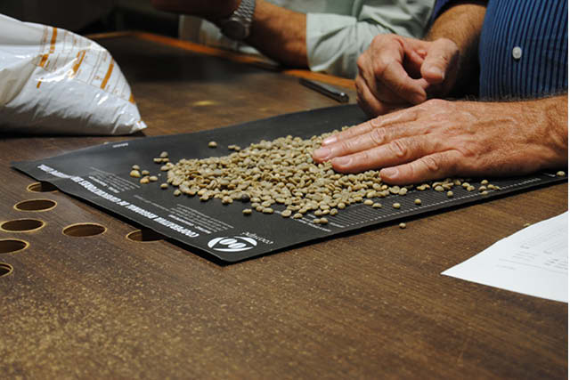 Violet Malaud Estate coffee beans