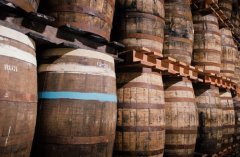 Flavor Characteristics of Honduran Maloud Violet Coffee - Introduction to Wine Barrel Processing Coffee Beans