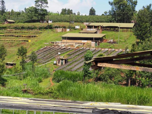 Kenya coffee landscape showing coffee processing station