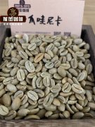 Bolivian Specialty Coffee What Are Bolivia's Unique Coffee Bean Processing Methods