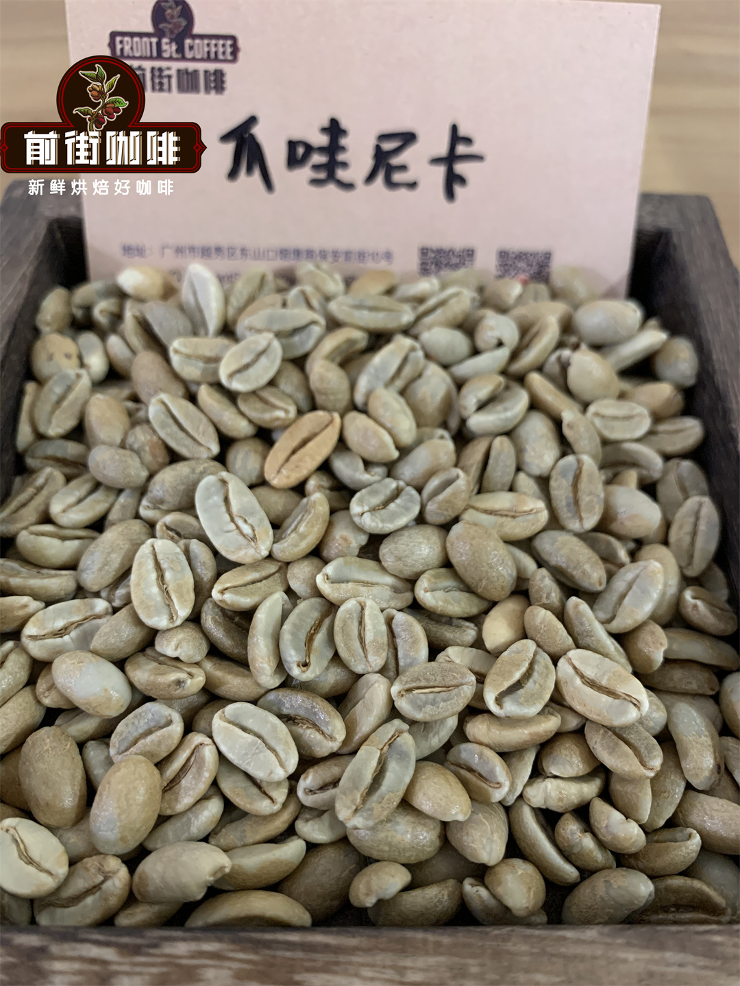 Bolivia Coffee Landscape